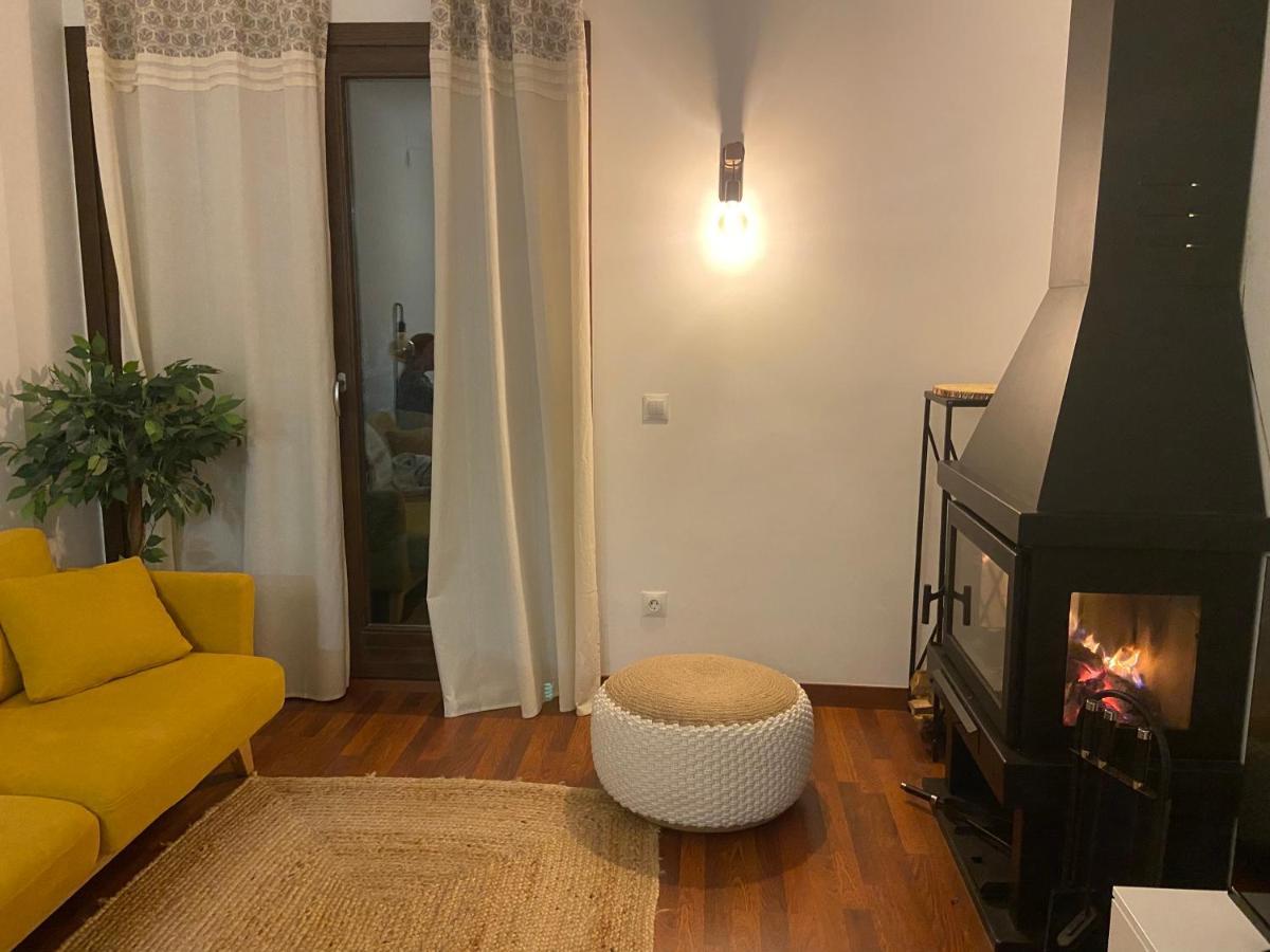 Ferienwohnung Cal Xera - Acollidora Planta Baixa Amb Llar De Foc I Jardi Privat Puigcerdà Exterior foto